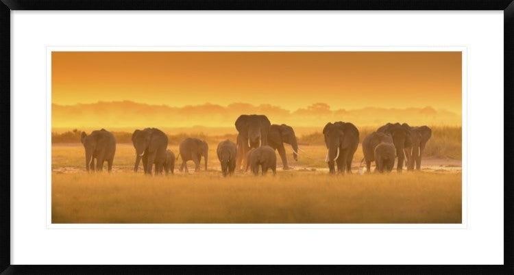 "Golden Light" Framed Digital Print by David Hua, 38"x20"