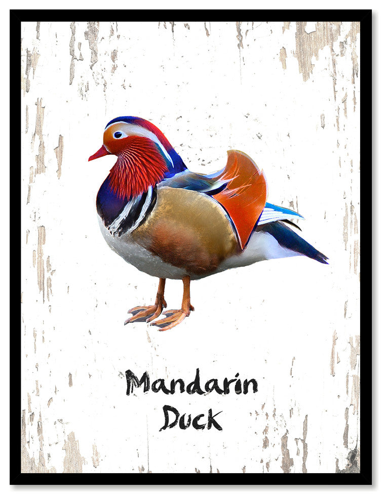 Mandarin Duck Bird Canvas Print, 28"x37"