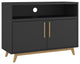Modern Black and Natural Two Door Console Table