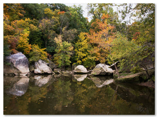 'Graffiti Fall' Canvas Art by Kurt Shaffer