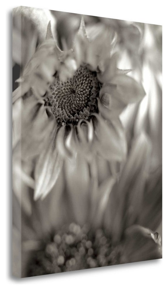 "Florison - 15" By Alan Blaustein, Giclee Print on Gallery Wrap Canvas