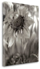 "Florison - 15" By Alan Blaustein, Giclee Print on Gallery Wrap Canvas