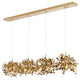 Bethel International Dls109C63G 12-Light Islandlighting, Gold