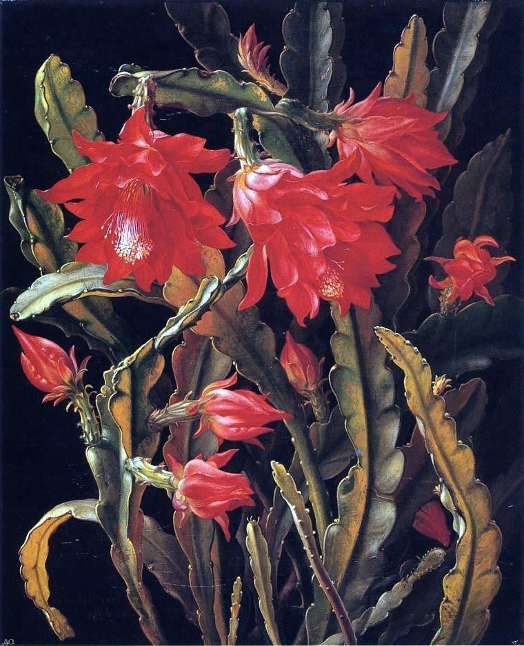 Christian Juel Mollback Cactus With Scarlet Blossoms Wall Decal