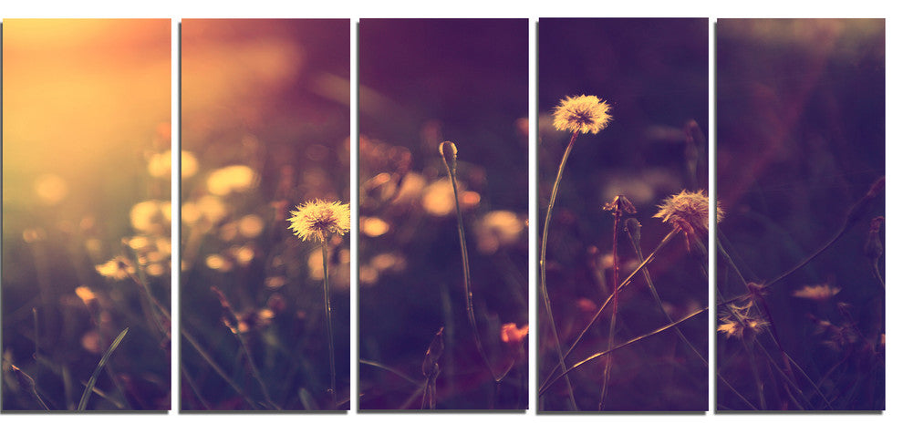 Vintage Dandelion Meadow Photo, Large Floral Canvas Art Print, 60"x28", 5 Panels