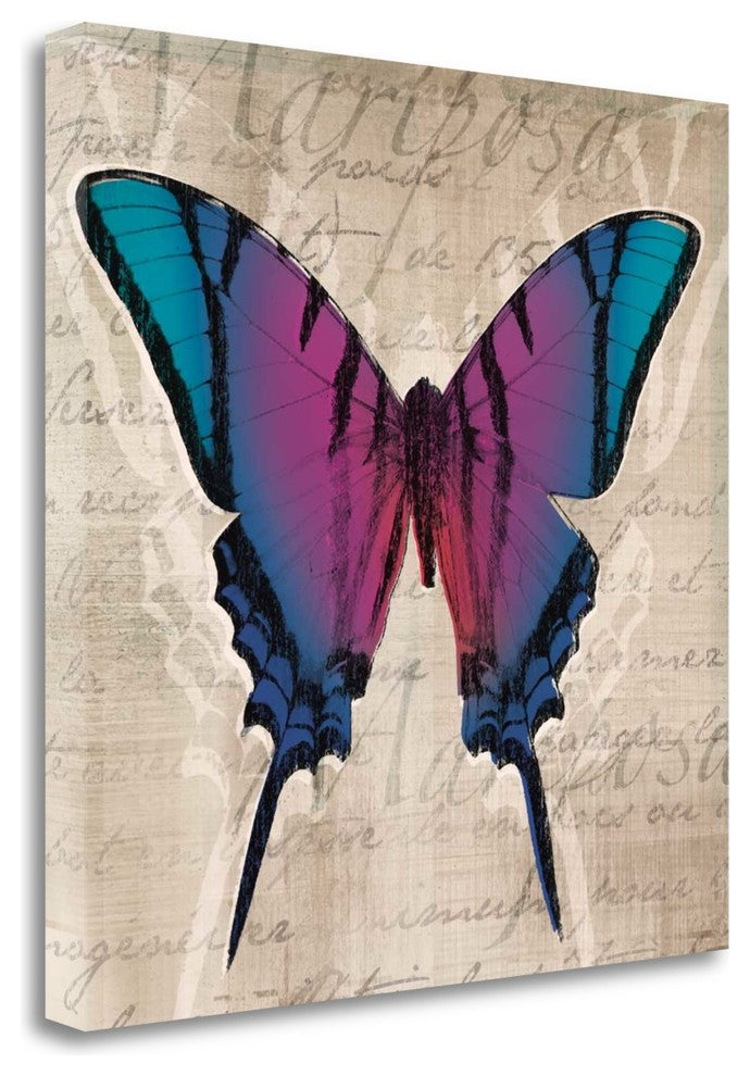 "Butterflies IV" By Tandi Venter, Giclee Print on Gallery Wrap Canvas
