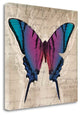 "Butterflies IV" By Tandi Venter, Giclee Print on Gallery Wrap Canvas