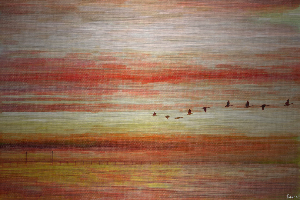 "Flying South" UV Ink Print on Brushed  Aluminum, 45"x30"