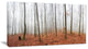 "Fall Forest With Trees At Mist" Oversized Forest Wall Art, 1 Panel, 60"x28"