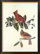 "Cardinal Grosbeak" Framed Canvas Giclee by John James Audubon, 35x46"