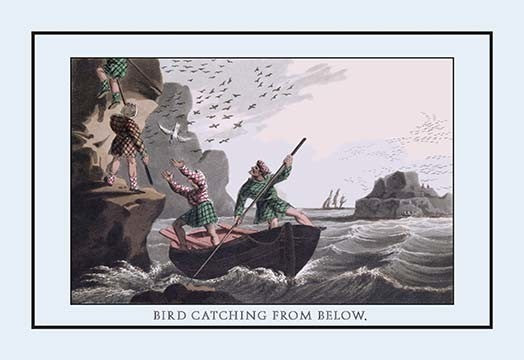 Bird Catching from Below- Gallery Wrapped Canvas Art 28" x 42"