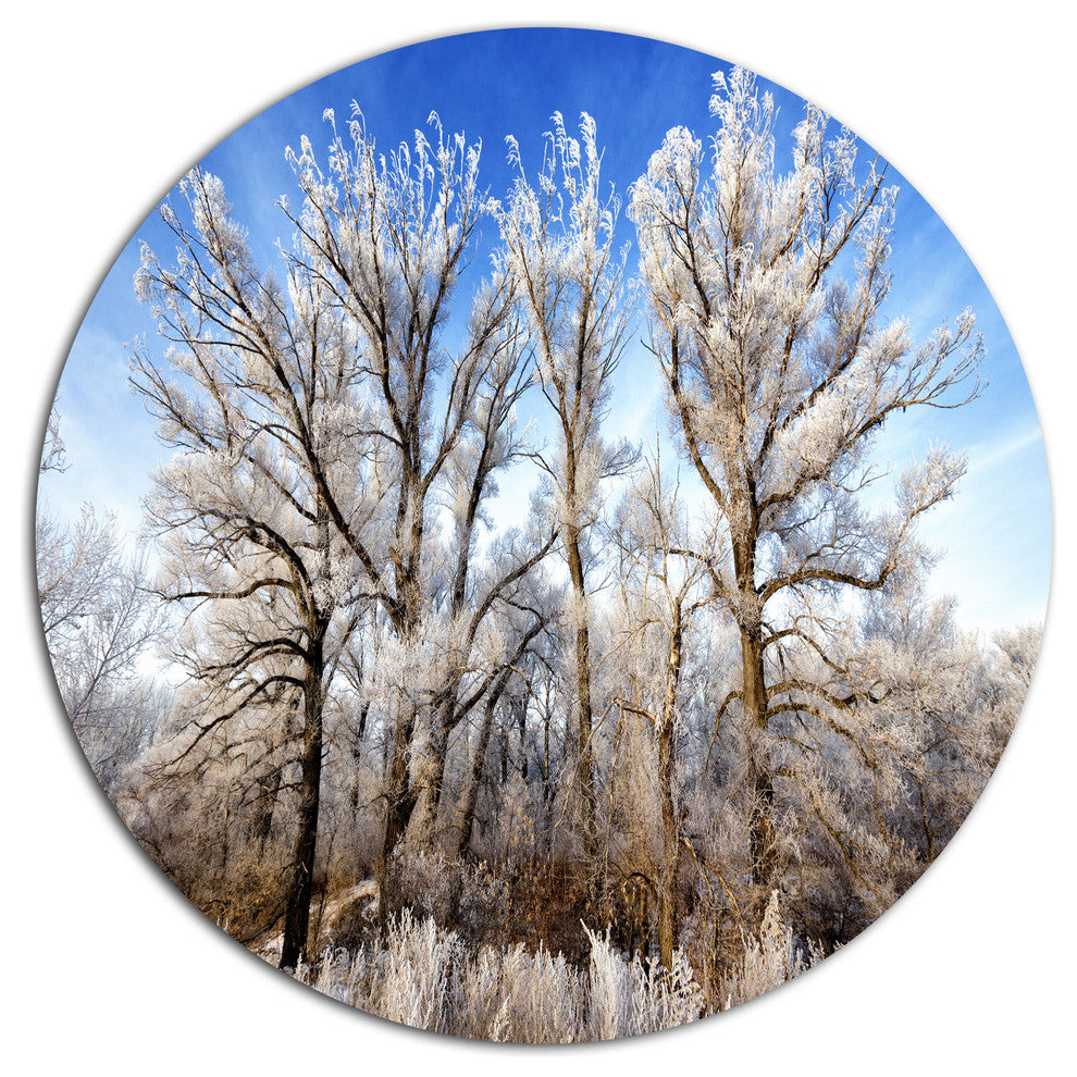 Beautiful Winter Evening View, Landscape Disc Metal Wall Art, 11"