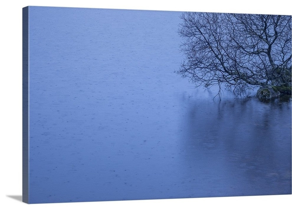 "Morning Rain" Wrapped Canvas Art Print, 48"x32"x1.5"