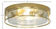 18" 4-Light Flush Mount Light, New Age Brass/Clear Bubble