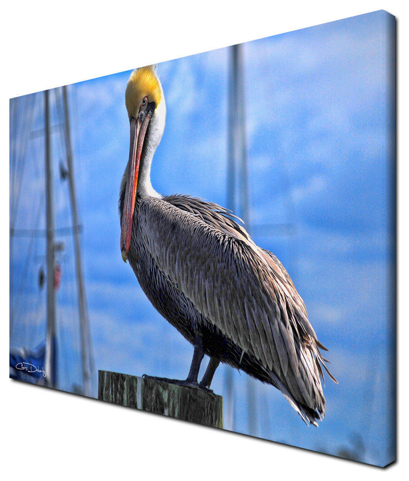 Ready2hangart Chris Doherty 'Pelican' Canvas Wall Art