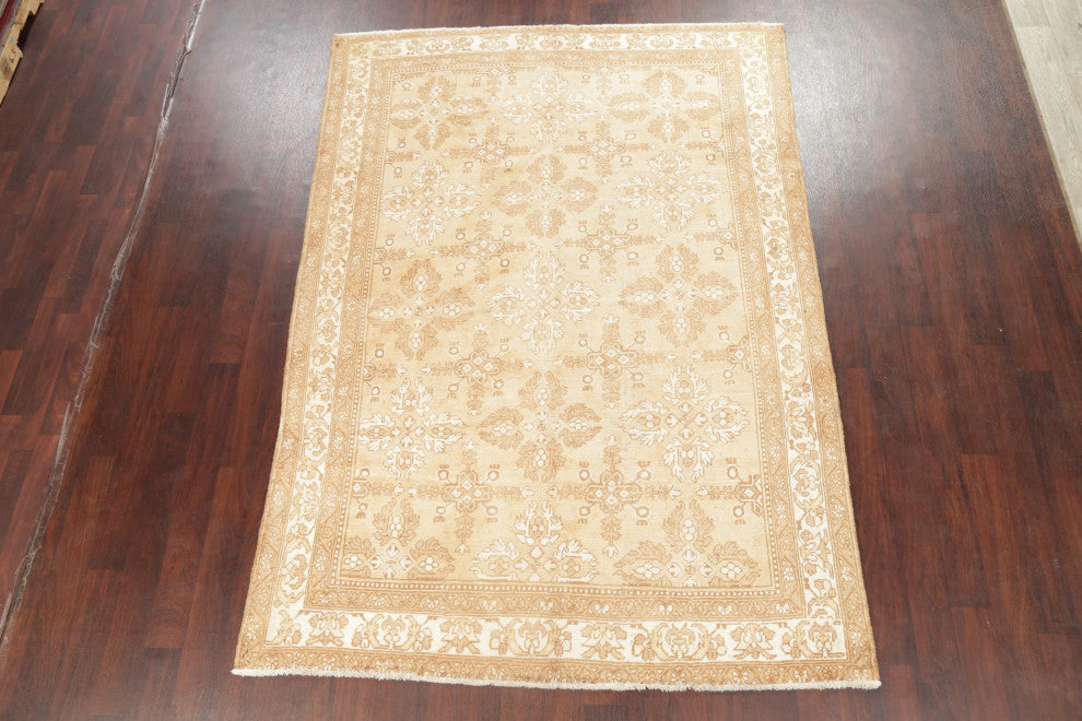 Consigned, Vintage-Style Faded Traditional Area Rug Handmade Persian, Brown, 6x9