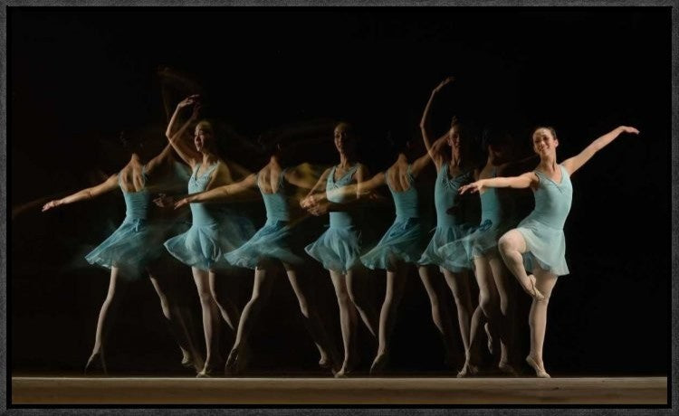"Slow Motion" Framed Canvas Giclee by Al, 23x14"
