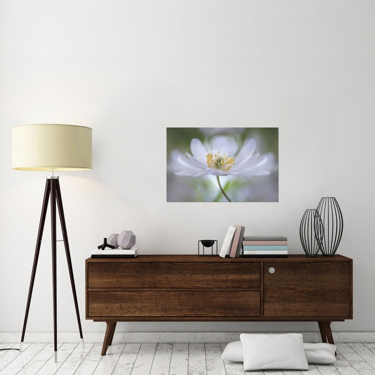 "Nemorosa Nirvana" Stretched Canvas Giclee by Mandy Disher, 36x24"