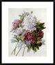 "A Bouquet of Red, Pink and White Peonies"  by Pierre Joseph Redoute, 25x30"