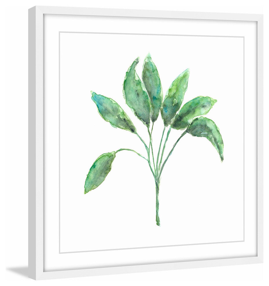 Marmont Hill, "Sage Herb" by Thimble Sparrow Framed Painting Print, 32x32