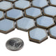 Hudson 1" Hex Frost Blue Porcelain Floor and Wall Tile