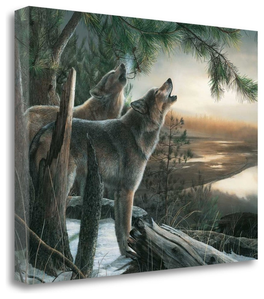 "Call Of The Wild" By Kevin Daniel, Giclee Print on Gallery Wrap Canvas