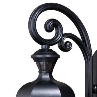 Aberdeen Dualux 10" Outdoor Wall Sconce, Shiny Black