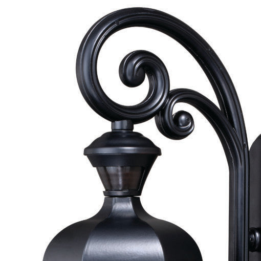 Aberdeen Dualux 10" Outdoor Wall Sconce, Shiny Black
