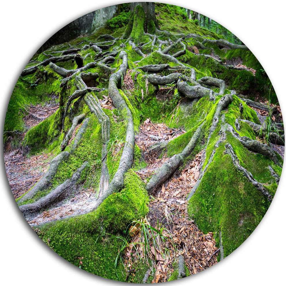 Green Wild Deep Moss Forest, Landscape Round Wall Art, 11"
