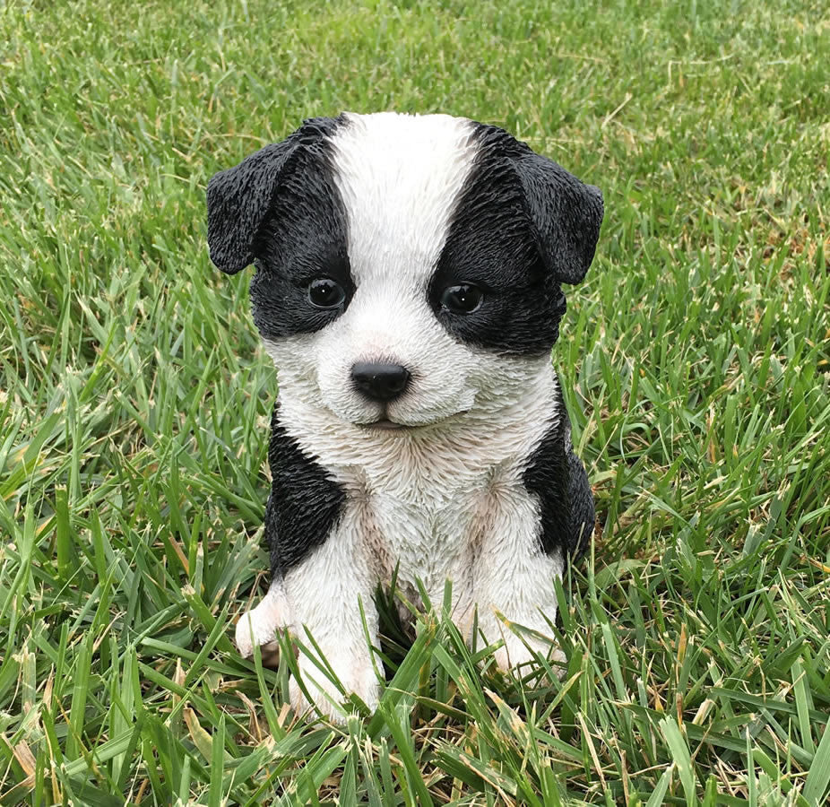 Realistic Border Collie Puppy Garden Statue