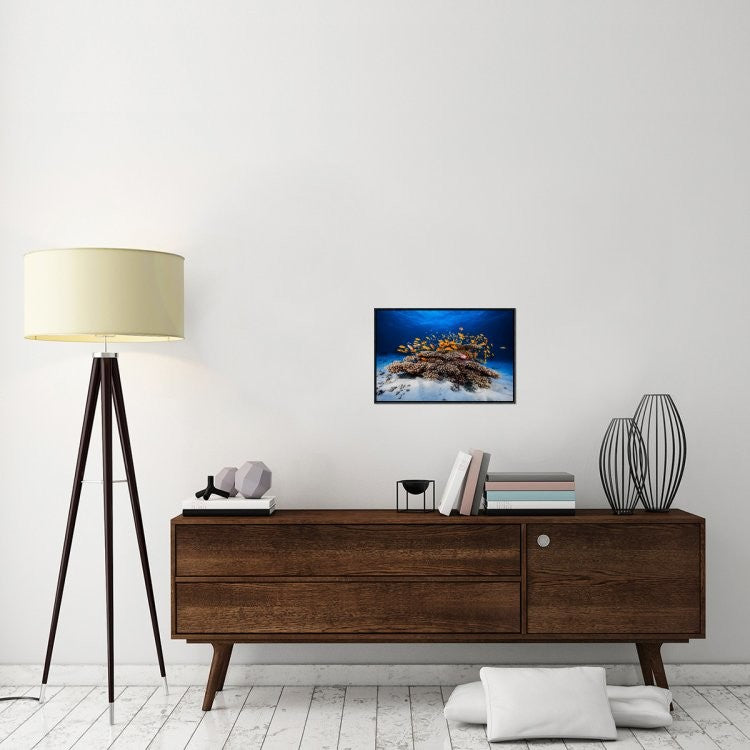 "Marine Life" Framed Canvas Giclee by Barathieu Gabriel, 23x16"