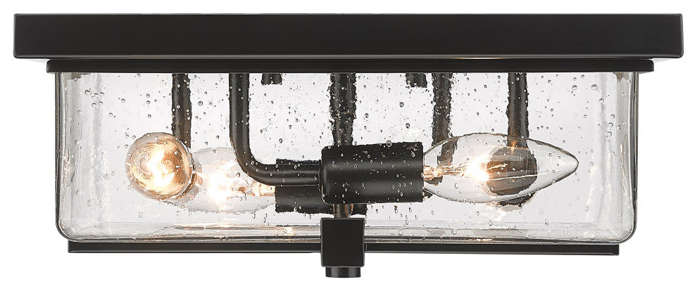Zlite 592F-BK 4-Light Outdoor Flush Ceiling Mount Fixture, Seedy