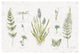 "In the Forest I" Digital Paper Print by Katie Pertiet, 26"x18"
