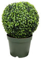Potted Two-Tone Artificial Boxwood Ball Topiary Plant, 19"