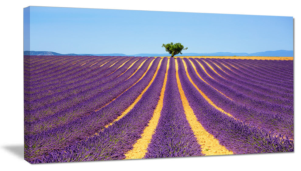 "Lonely Uphill Tree in Lavender Field" Landscape Wall Art, 32"x16"