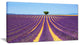 "Lonely Uphill Tree in Lavender Field" Landscape Wall Art, 32"x16"