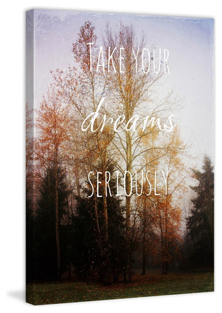 "Take Your Dreams Seriously" Print on Canvas by Sylvia Cook