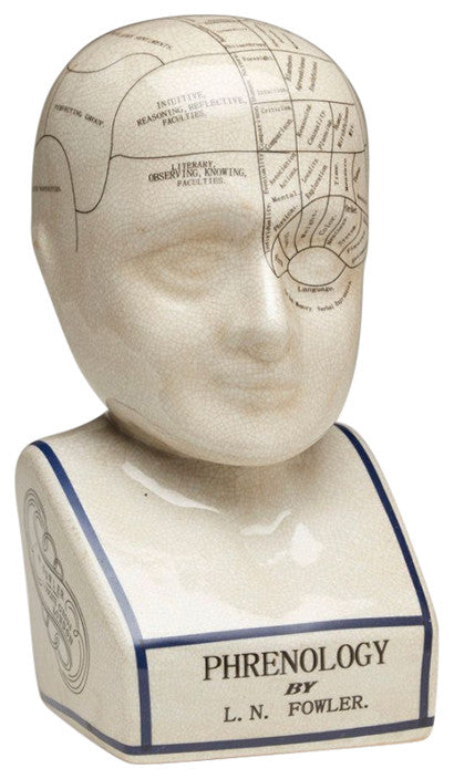 Crackle Ceramic Phrenology Bust, White