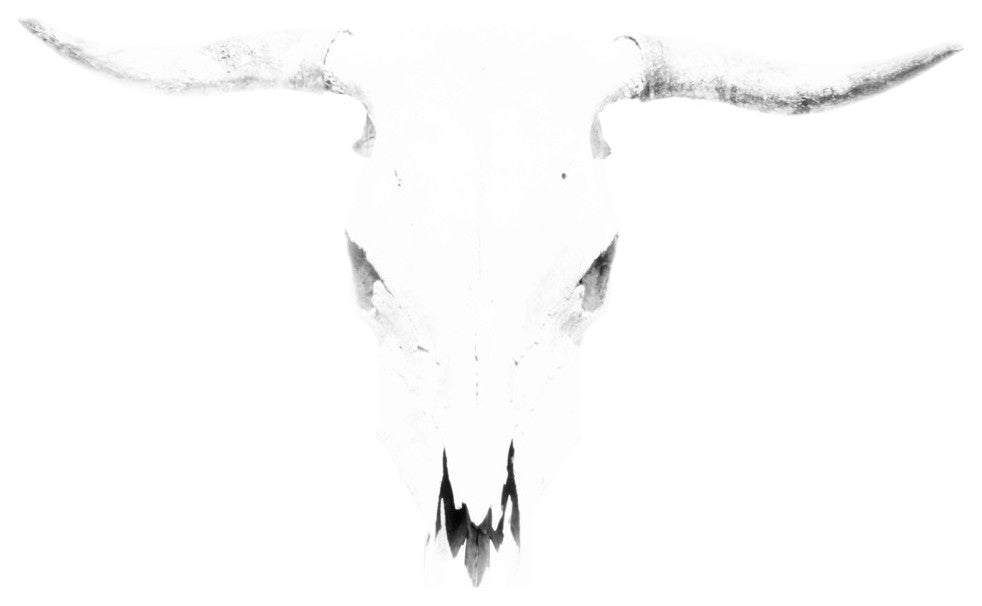 "Bleached Horns" Print on Canvas, 18"x18"