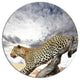 Leopard On Tree Under Cloudy Sky, African Round Wall Art, 11"