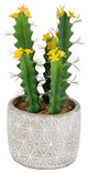 Vickerman FH191712 12" Artificial Green Cactus in Cement Pot