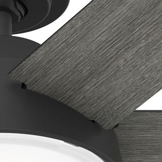 52" Donatella Matte Black Ceiling Fan, LED Light Kit and Handheld Remote