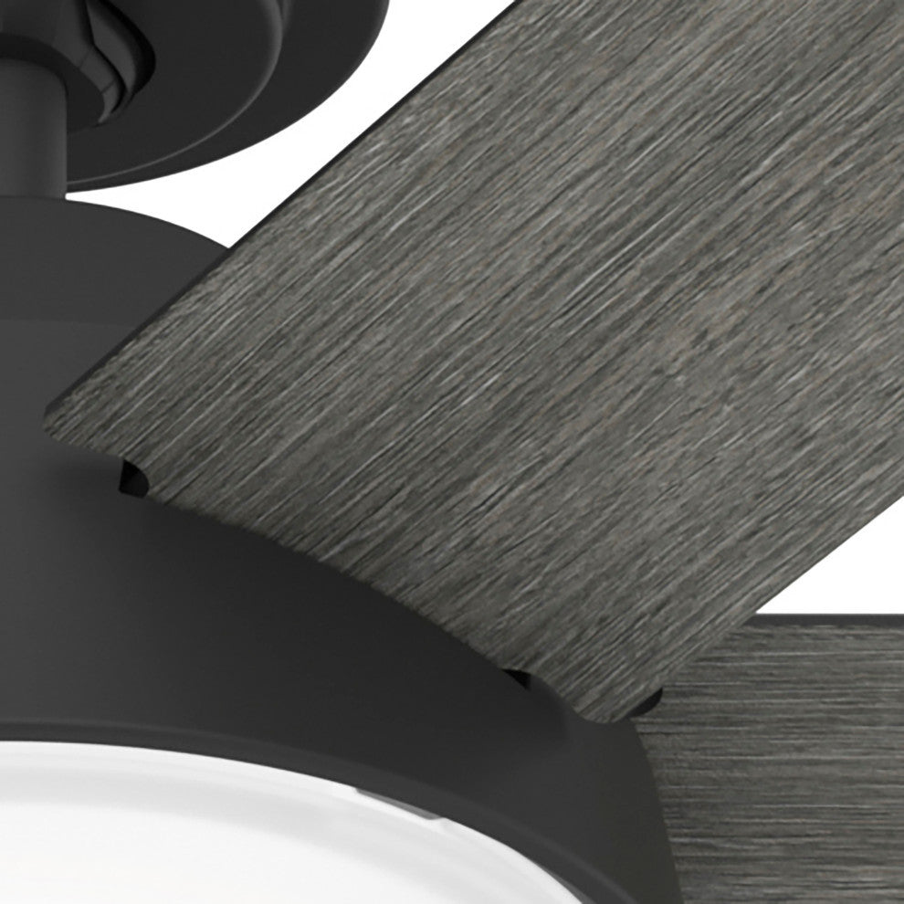 52" Donatella Matte Black Ceiling Fan, LED Light Kit and Handheld Remote