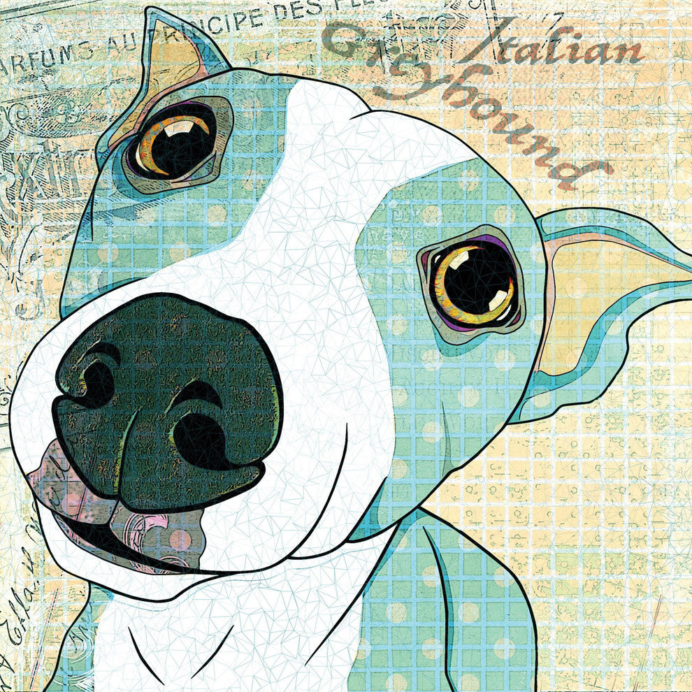 "Italian Greyhound" Art Print, 45x45 cm