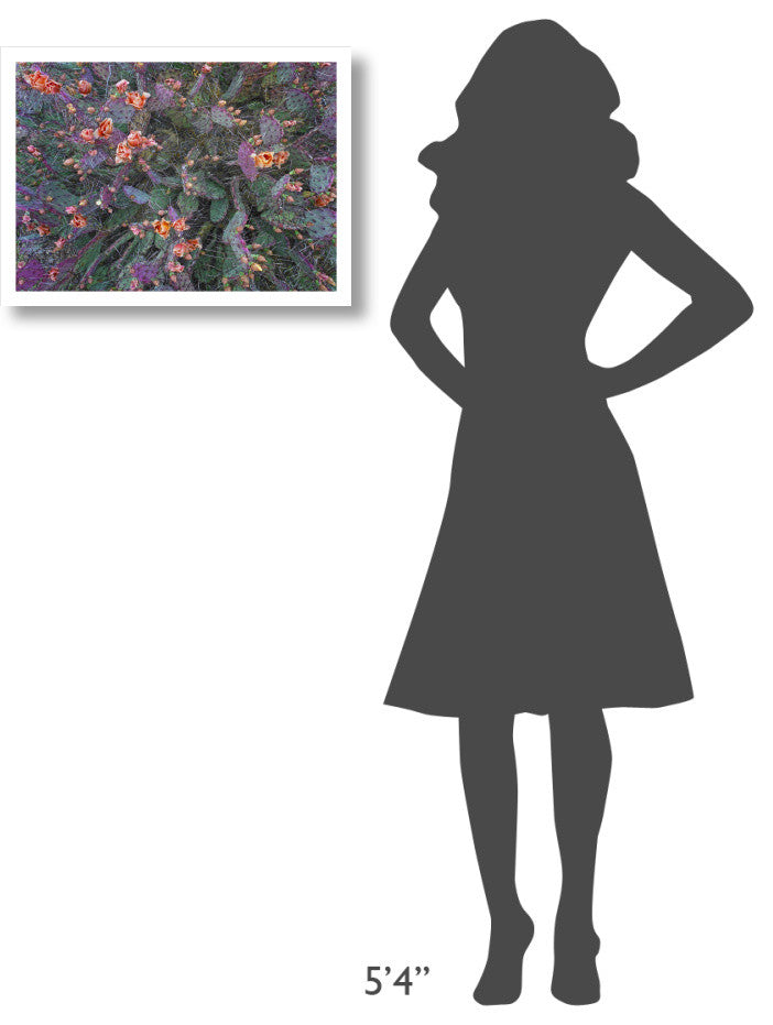 "Opuntia flowering, North America" Paper Print by Tim Fitzharris, 24"x18"
