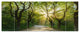 Evening in Green Forest, Landscape Canvas Art Print, 70"x28", 6 Panels
