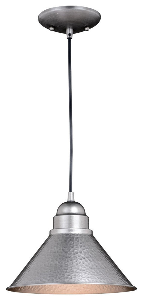 Outland 10" Outdoor Pendant Light, Brushed Pewter