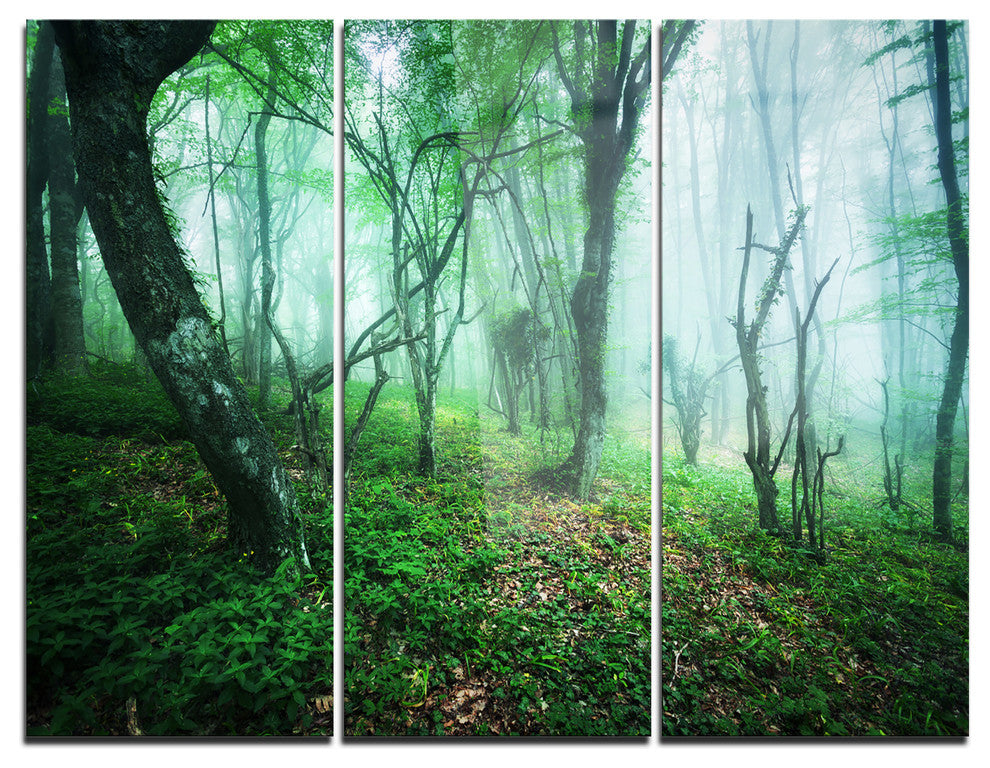 "Trail Through Green Forest" Photo Metal Wall Art, 3 Panels, 36"x28"