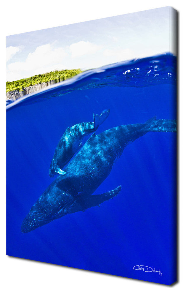 Ready2hangart Chris Doherty 'Whales' Canvas Wall Art