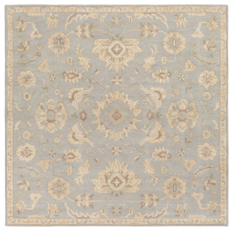 Surya Caesar CAE-1162 Traditional Area Rug, Light Gray, 4' Square